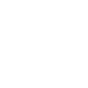 Personal Trainer | Andy Collier